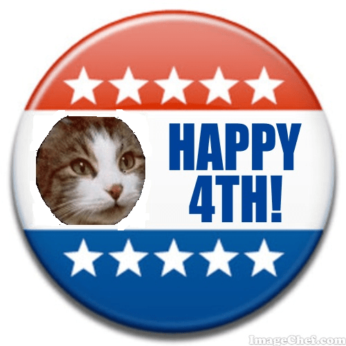 Zeke 4th of July pin