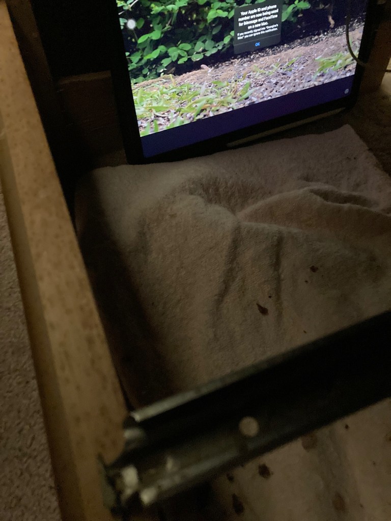 Opie's entertainment centeer