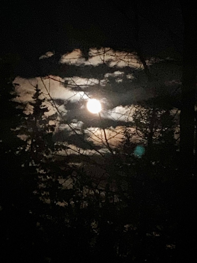 Werewolf Moon
