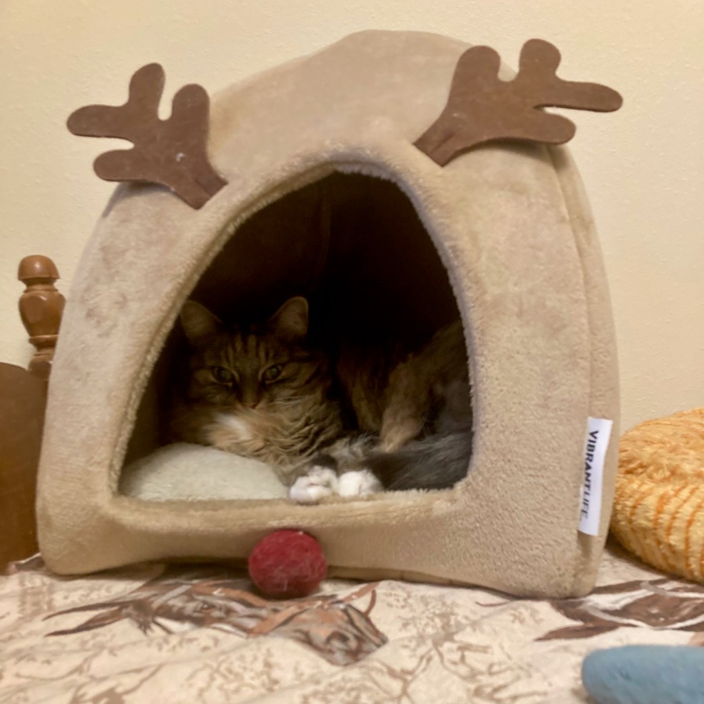 opie in reindeer tent
