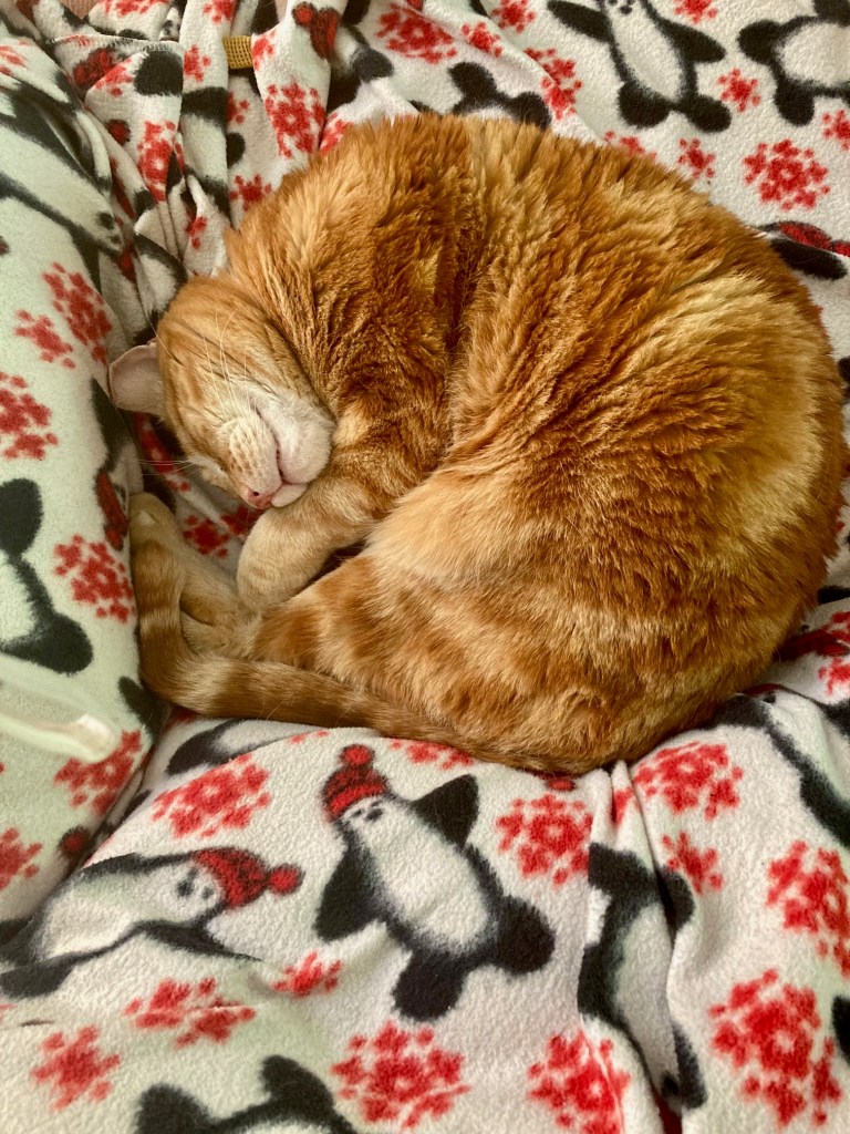 There will be a penguin blanket in heaven for you