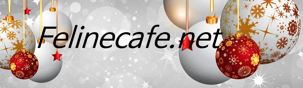 fdelinecafe header christmas
