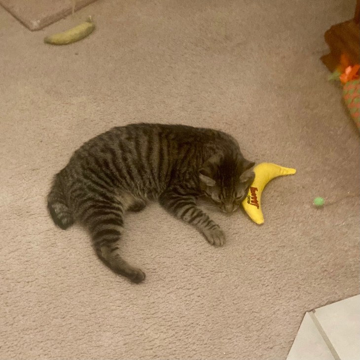 Nicholas and nip banana