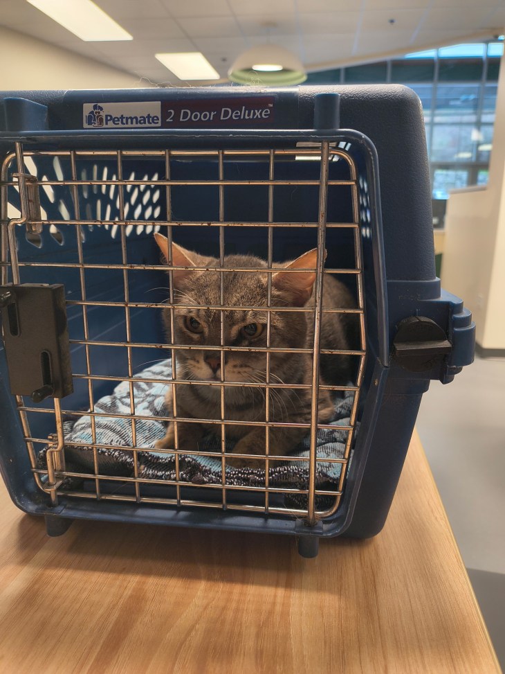 Going to his new home