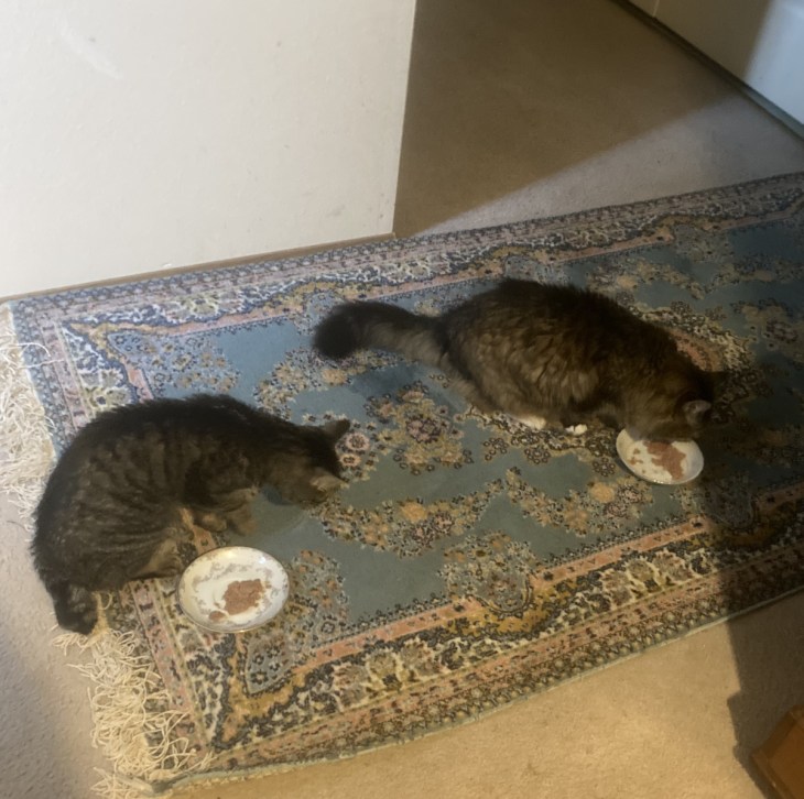 Nicholas and Opie eating