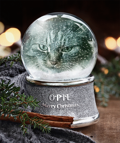 OPIE snowglobe