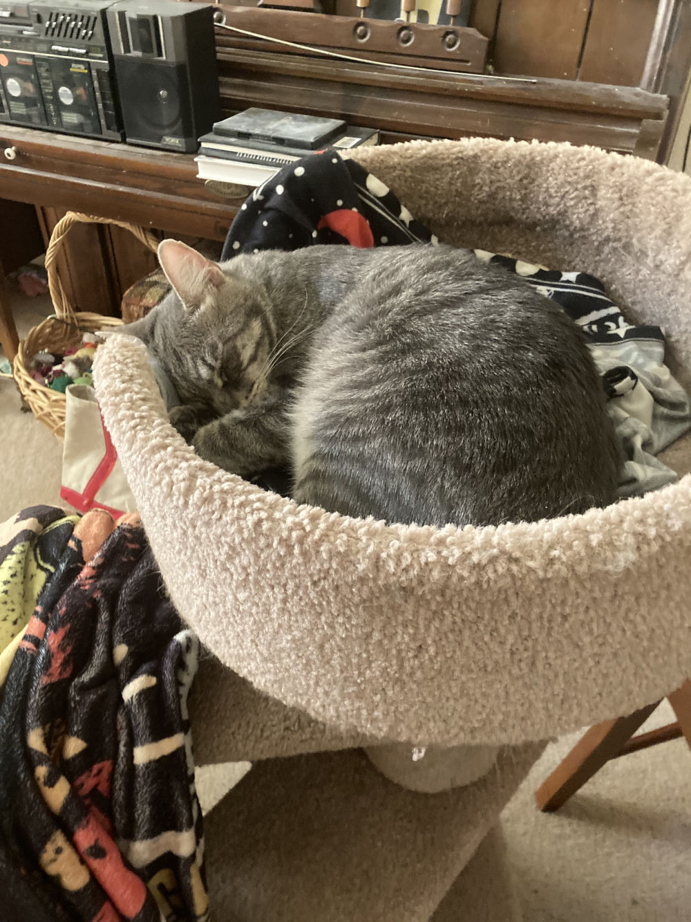 Louie cat tree