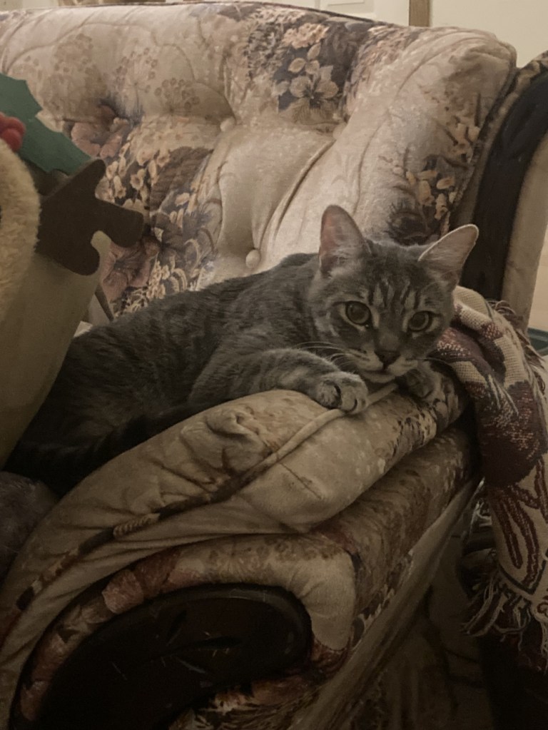 watching tv