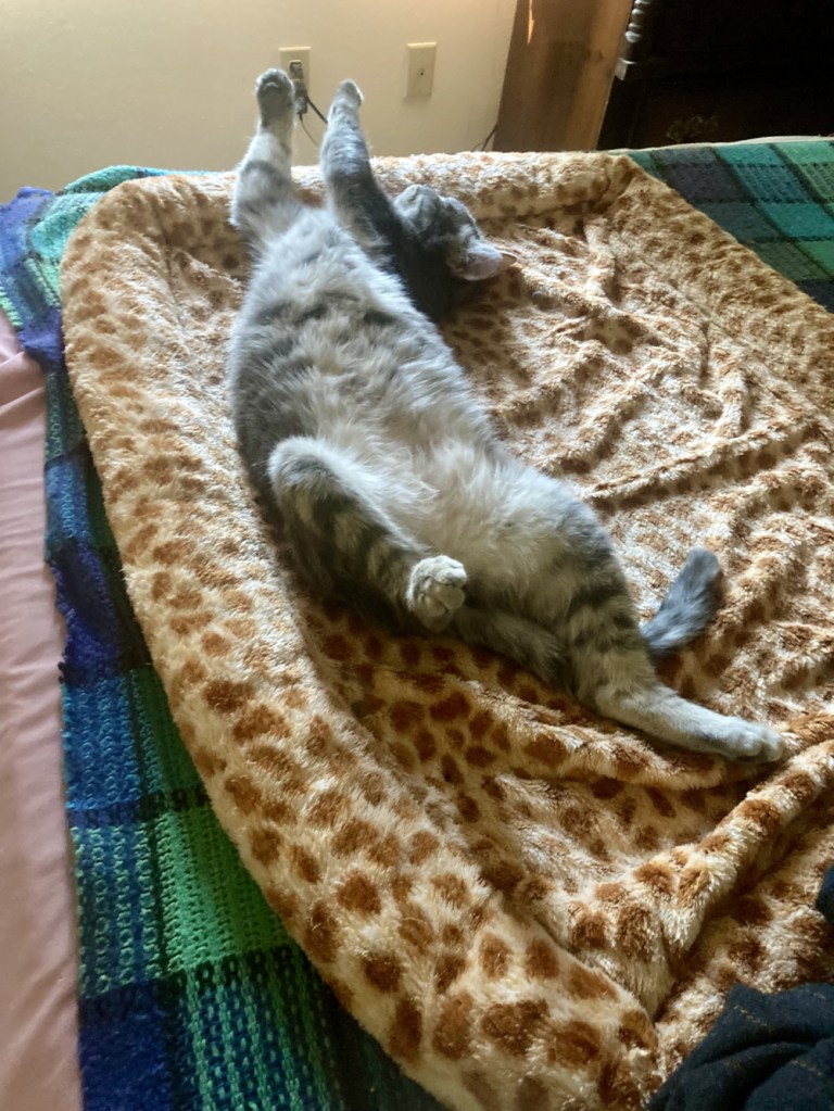 louie upsidedown