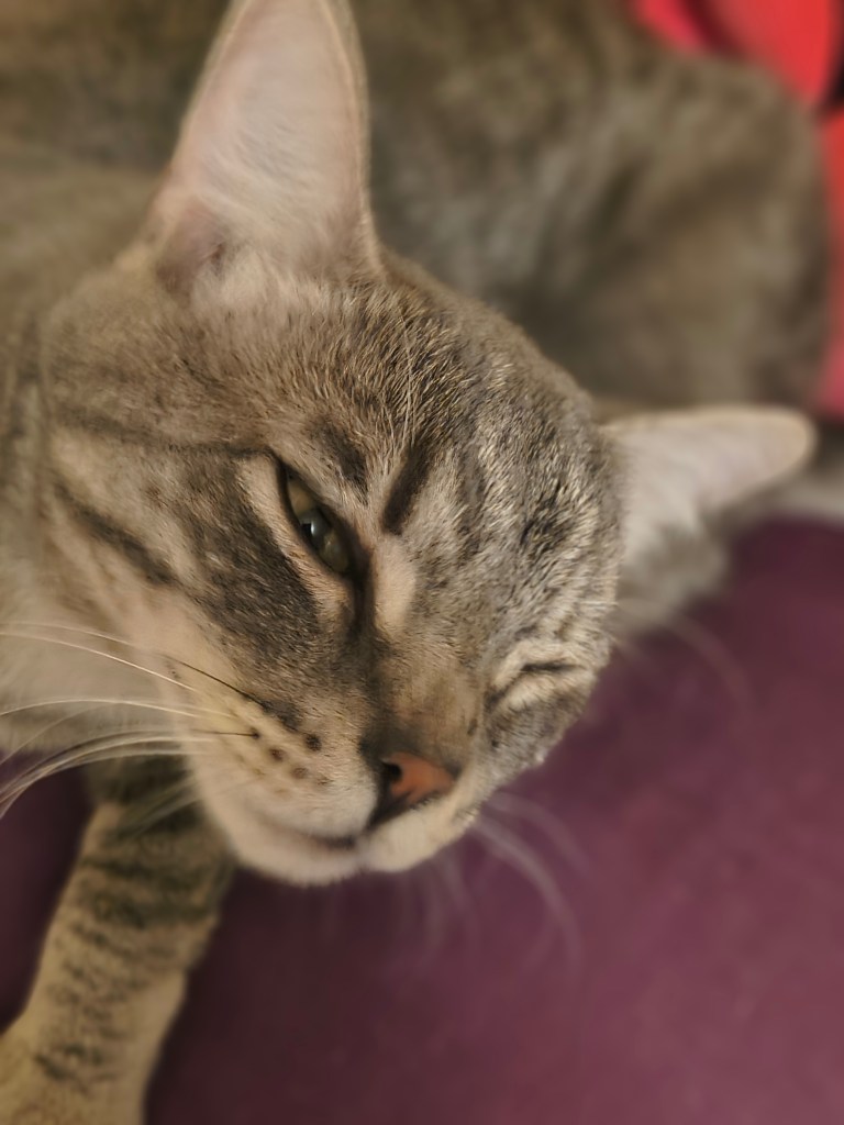 louie