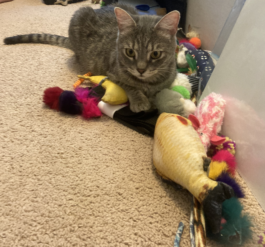 Louie and his toys