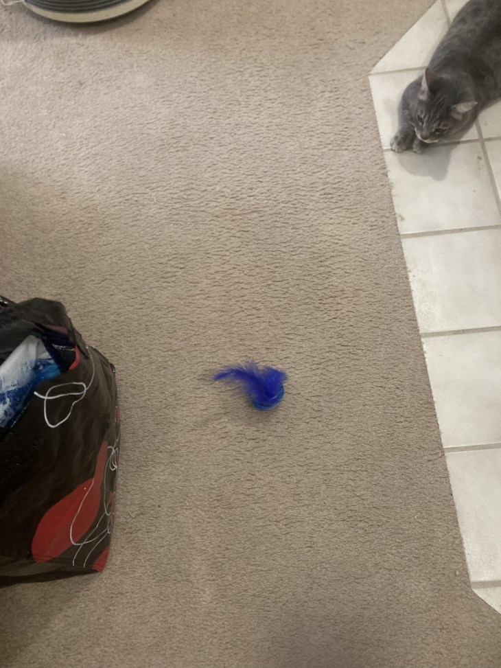 Louie and new toy