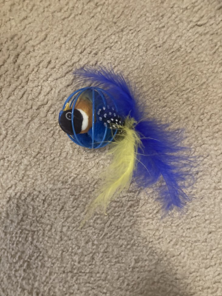 new toy