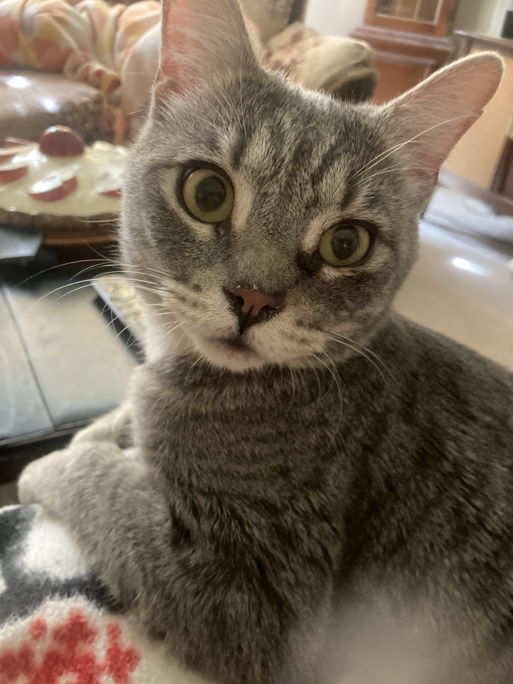 Louie"s Eyes