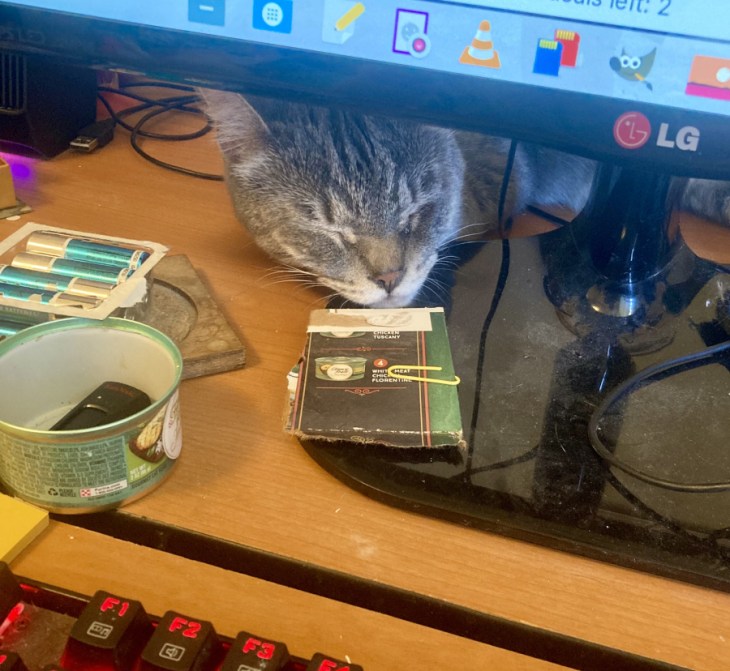 Louie sleeping