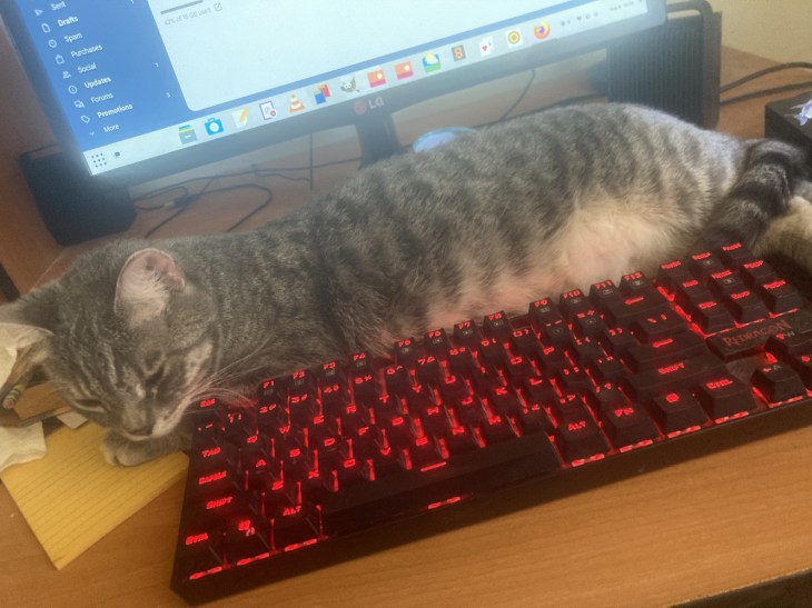 Louie at keyboard