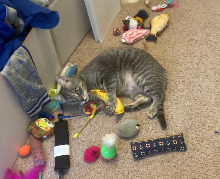 Louie and toys