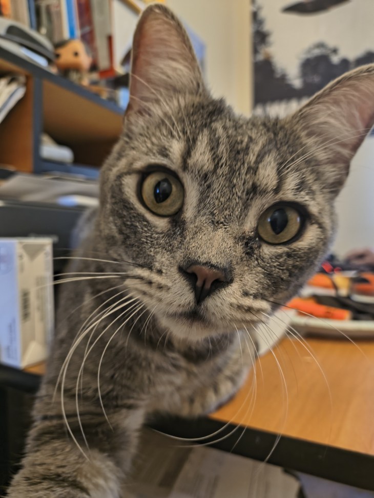 Louie selfie
