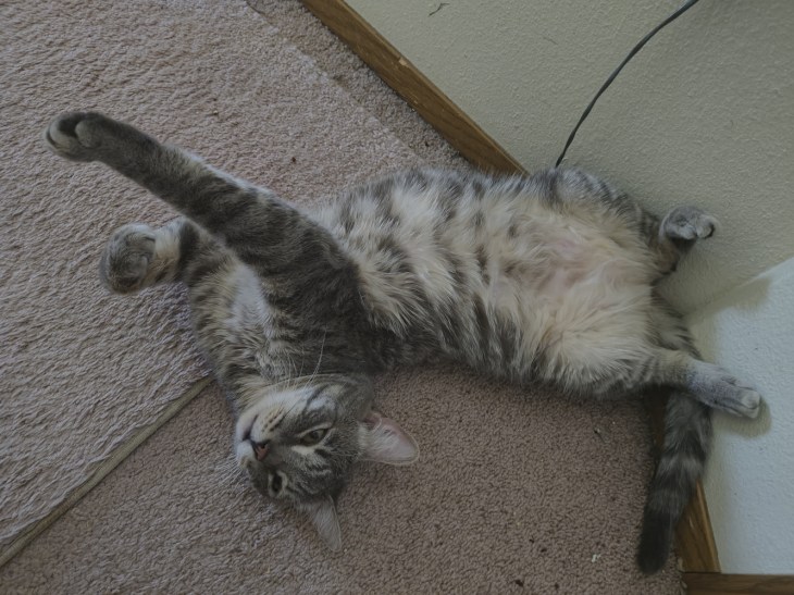 louie it is nice to be able to stretch out